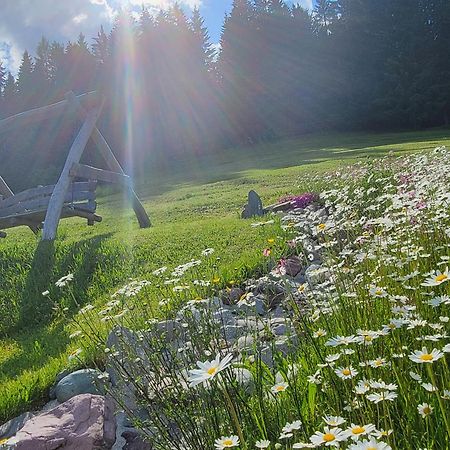 Ferienhof Obertenn Hochfilzen Luaran gambar