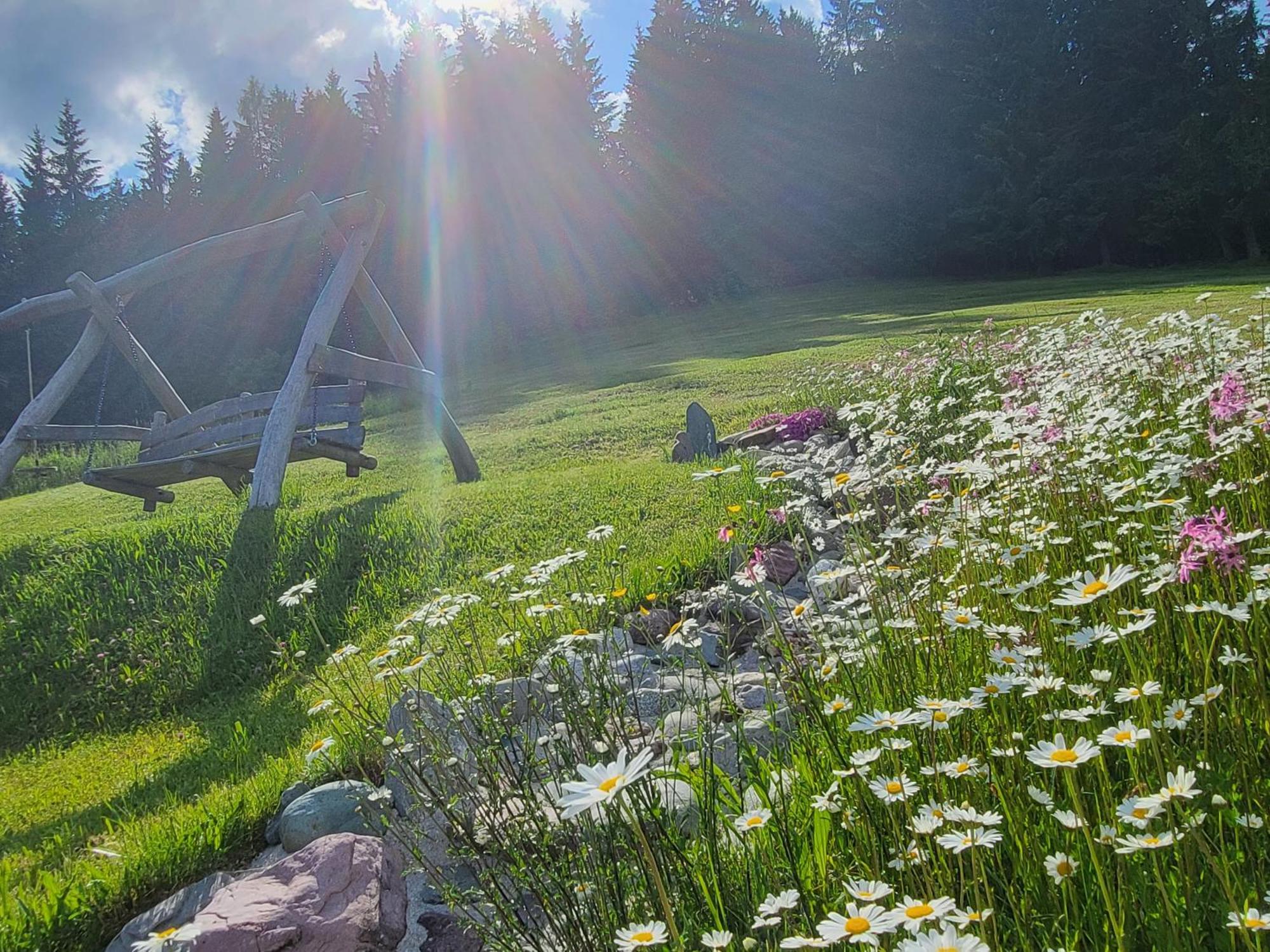 Ferienhof Obertenn Hochfilzen Luaran gambar