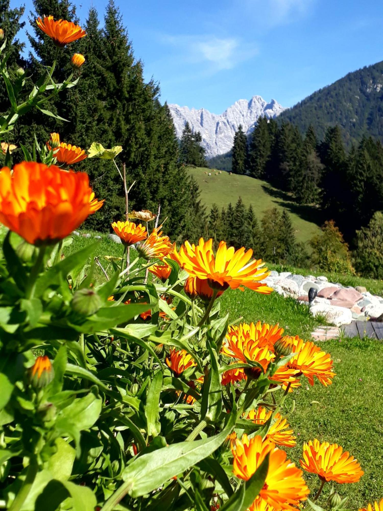 Ferienhof Obertenn Hochfilzen Luaran gambar
