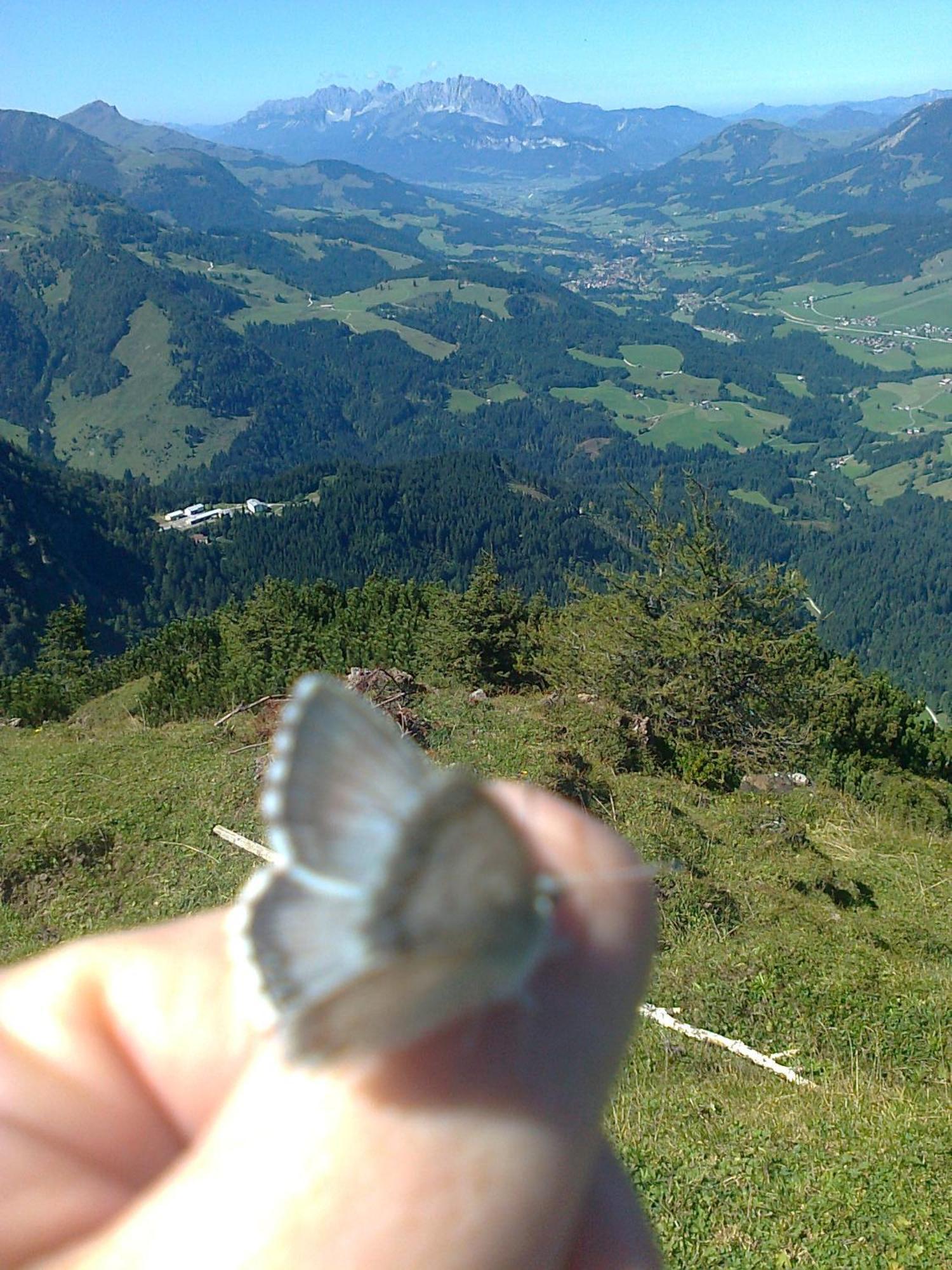Ferienhof Obertenn Hochfilzen Luaran gambar