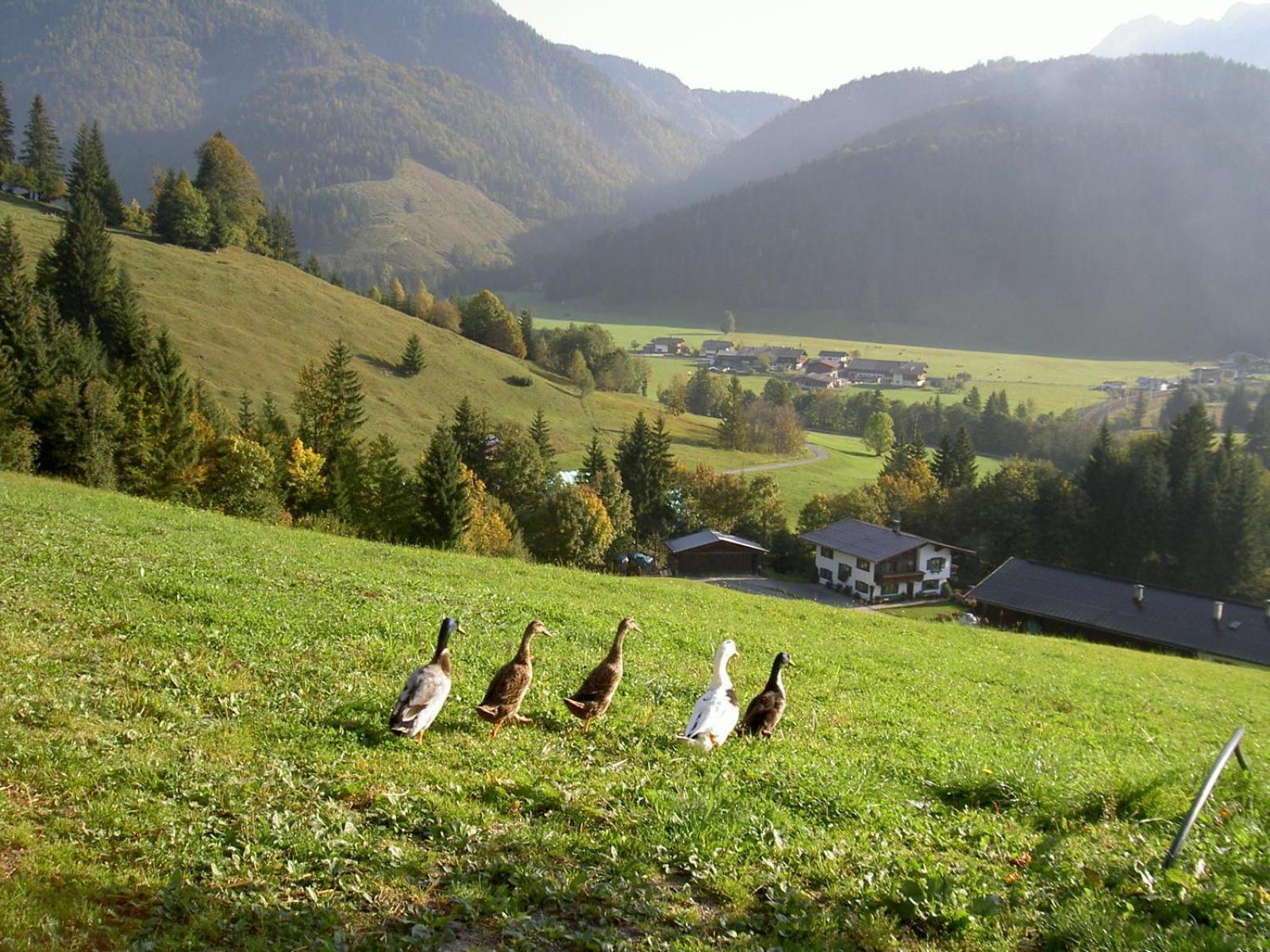 Ferienhof Obertenn Hochfilzen Luaran gambar