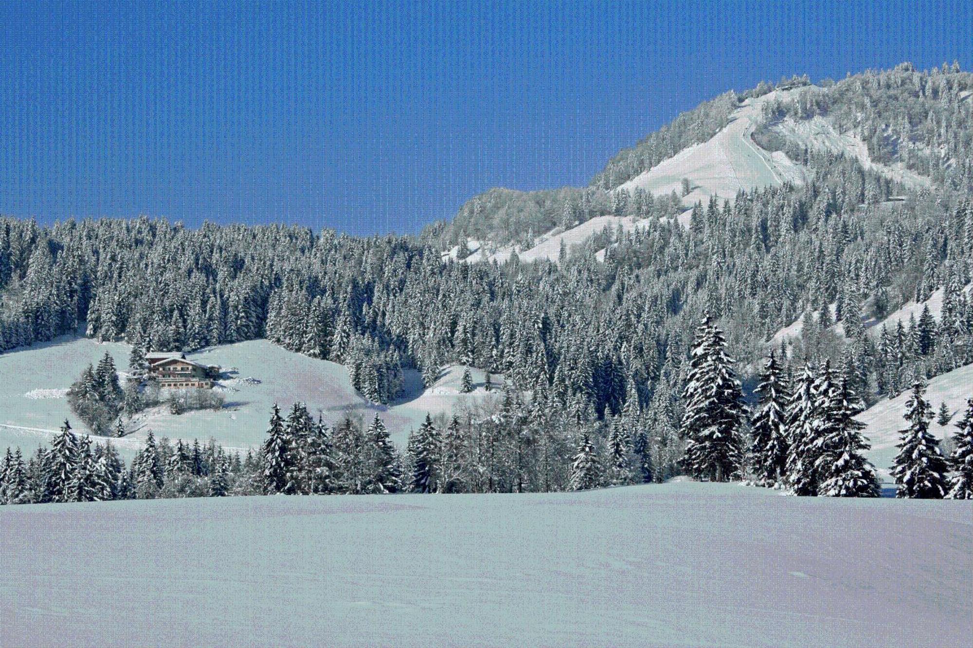 Ferienhof Obertenn Hochfilzen Luaran gambar